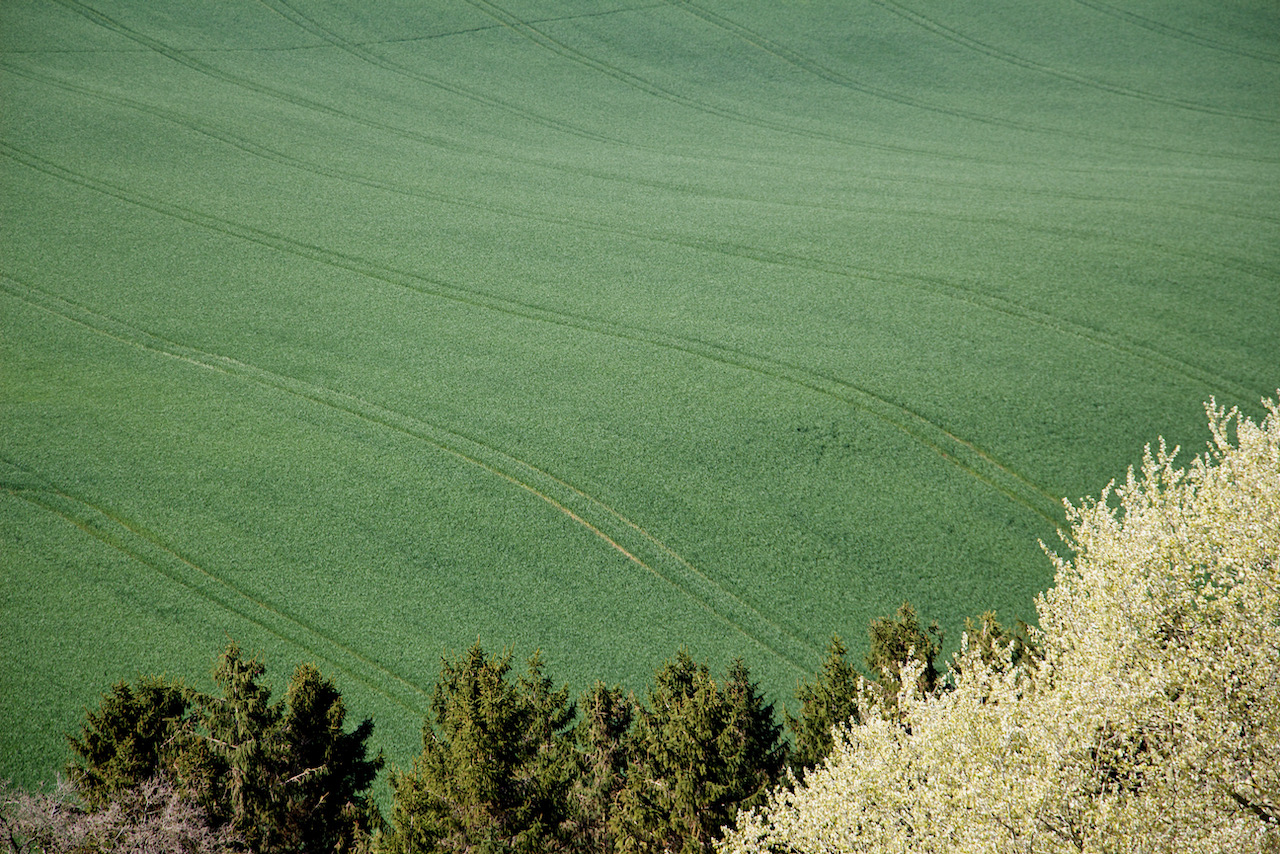 Rolling hills